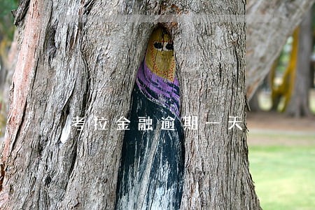 考拉金融逾期一天 考拉金融逾期一天