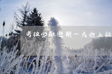 考拉金融逾期一天会上征信吗 考拉金融逾期一天会上征信吗