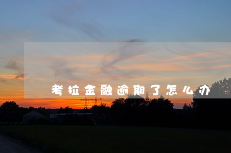 考拉金融逾期了怎么办 考拉金融逾期了怎么办