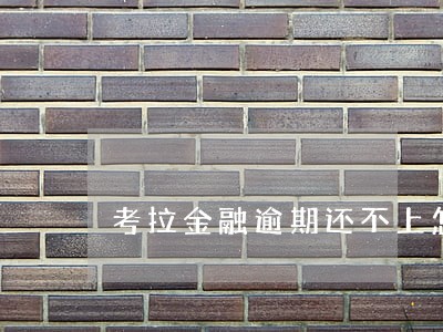 考拉金融逾期还不上怎么办 考拉金融逾期还不上怎么办