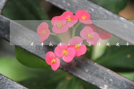 考摩托车d证法律规定年满18 考摩托车d证法律规定年满18