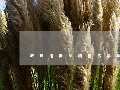 考核信用卡销售员逾期率 考核信用卡销售员逾期率