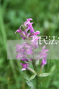 考民法学吗 考民法学吗
