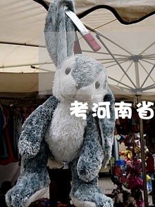 考河南省的法院检察院怎么考 考河南省的法院检察院怎么考