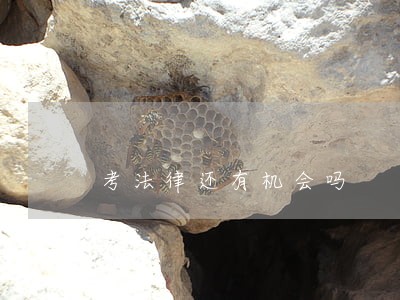 考法律还有机会吗 考法律还有机会吗