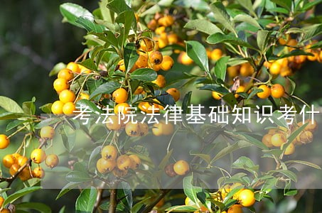 考法院法律基础知识考什么