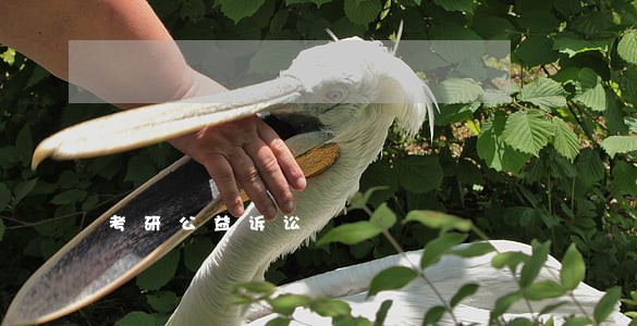 考研公益诉讼 考研公益诉讼