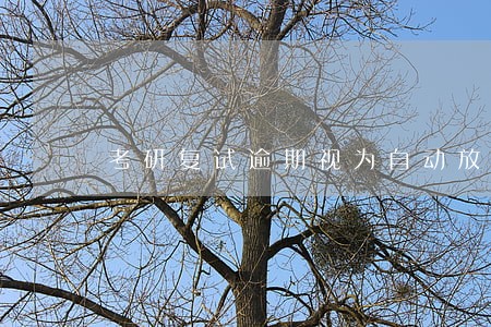 考研复试逾期视为自动放弃