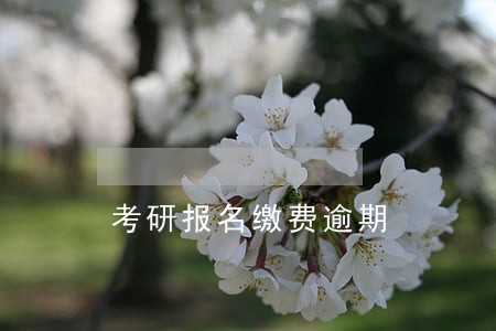 考研报名缴费逾期 考研报名缴费逾期