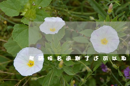 考研报名逾期了还可以取消吗 考研报名逾期了还可以取消吗