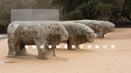 考研政审网贷有过逾期记录 考研政审网贷有过逾期记录