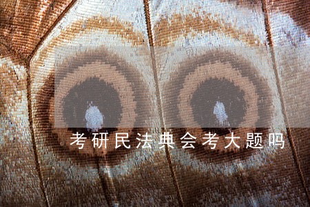 考研民法典会考大题吗
