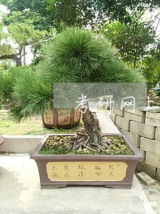 考研网上确认如果审核逾期怎么办 考研网上确认如果审核逾期怎么办