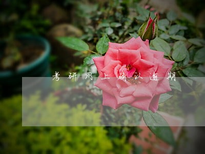 考研网上确认逾期 考研网上确认逾期