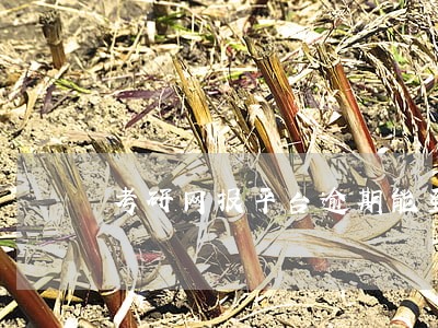 考研网报平台逾期能登录吗 考研网报平台逾期能登录吗