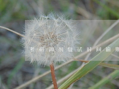 考研调剂复试时间逾期确认 考研调剂复试时间逾期确认