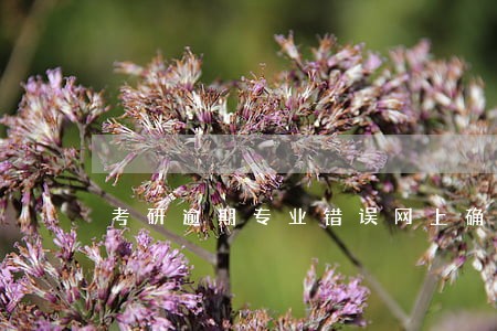 考研逾期专业错误网上确认能改吗
