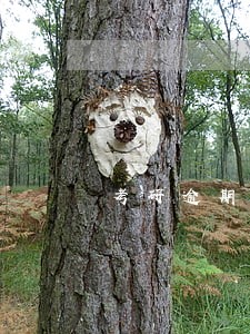 考研逾期记录多久会消除