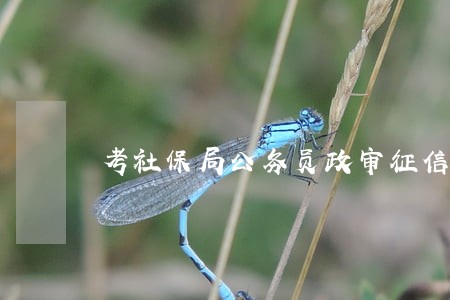 考社保局公务员政审征信逾期记录 考社保局公务员政审征信逾期记录