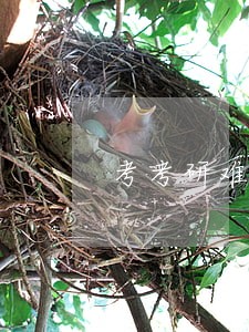考考研难度 考考研难度