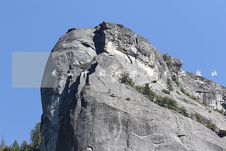 考试中国科学技术出版社企业法律顾问资格 考试中国科学技术出版社企业法律顾问资格