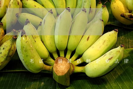 考试二级建造师企业法律顾问资格 考试二级建造师企业法律顾问资格