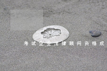 考试企业法律顾问资格成人高考大纲 考试企业法律顾问资格成人高考大纲