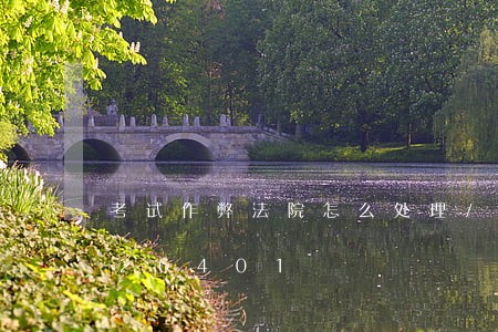 考试作弊法院怎么处理/2023022726401 考试作弊法院怎么处理/2023022726401