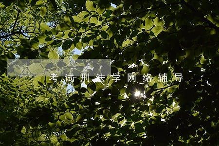 考试刑法学网络辅导 考试刑法学网络辅导