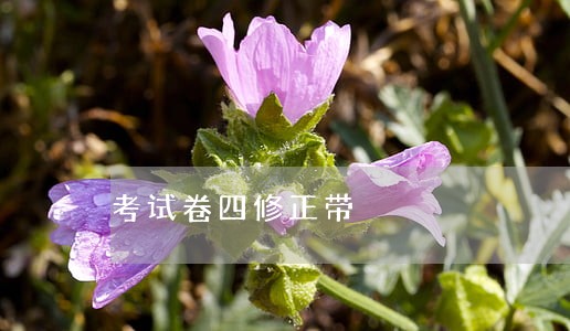 考试卷四修正带