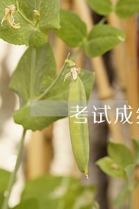 考试成绩公布网站是那个 考试成绩公布网站是那个
