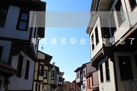 考试报名毕业证编号忘了 考试报名毕业证编号忘了