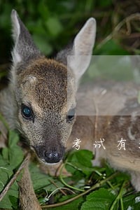 考试有没通过能不能查得到 考试有没通过能不能查得到