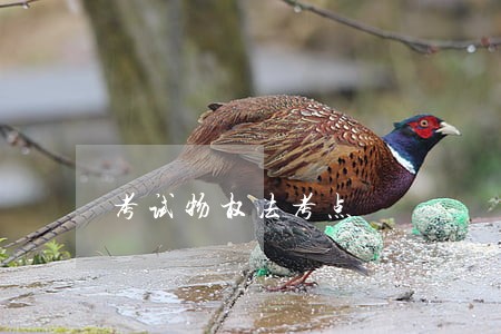 考试物权法考点 考试物权法考点