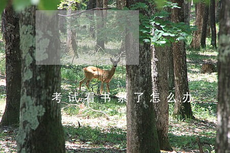 考试看书累了怎么办 考试看书累了怎么办