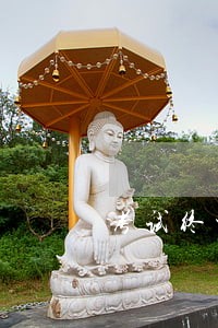 考试终极模考答案卷二 考试终极模考答案卷二