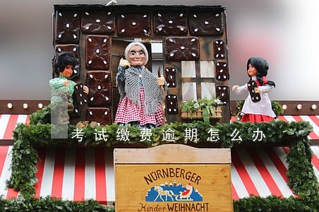 考试缴费逾期怎么办 考试缴费逾期怎么办