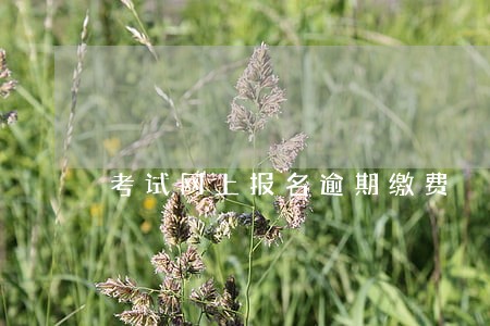 考试网上报名逾期缴费 考试网上报名逾期缴费