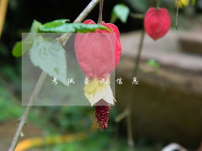 考试资讯信息