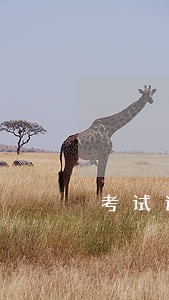 考试逾期缴费有什么补救 考试逾期缴费有什么补救