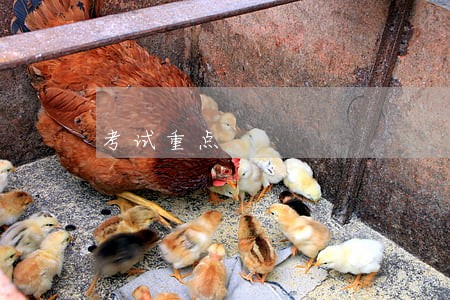 考试重点 考试重点
