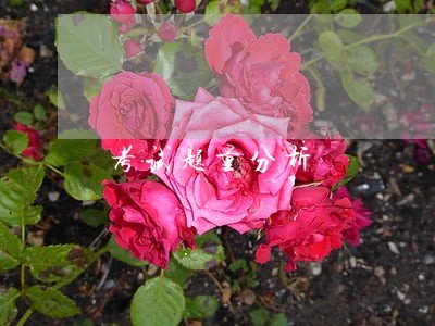 考试题量分析 考试题量分析