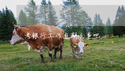 考银行工作逾期没事吧 考银行工作逾期没事吧