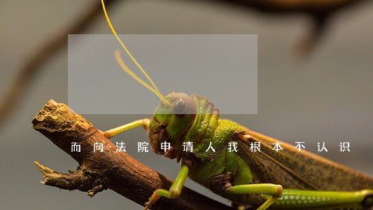 而向法院申请人我根本不认识 而向法院申请人我根本不认识