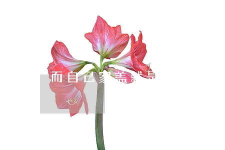 而自己家盖就是违法 而自己家盖就是违法