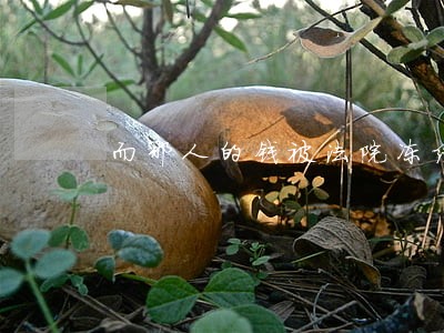 而那人的钱被法院冻结了 而那人的钱被法院冻结了