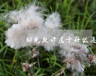 耐克欺诈属于什么违法 耐克欺诈属于什么违法