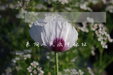 耒阳人民法院地址 耒阳人民法院地址