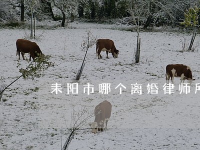 耒阳市哪个离婚律师所好 耒阳市哪个离婚律师所好