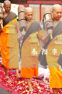 耒阳市法律援助 耒阳市法律援助